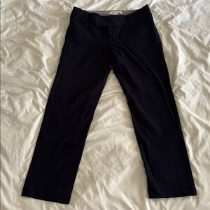 Banana Republic Dark Navy Sloan Fit Pants SZ 2